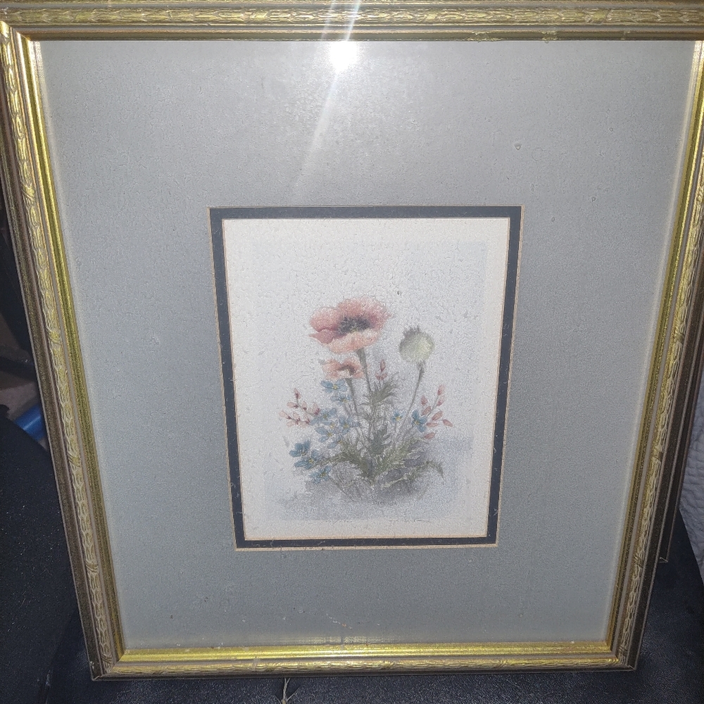 Matching framed prints